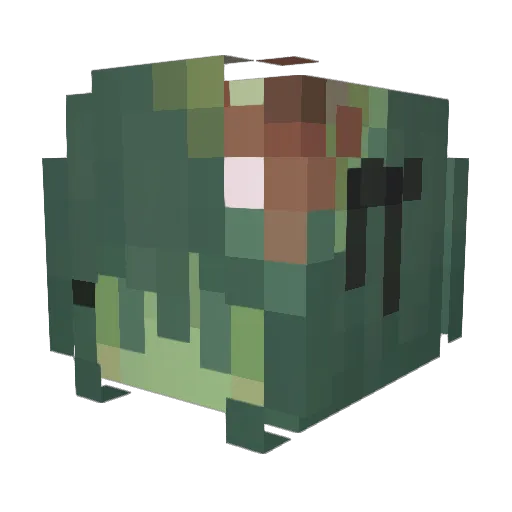 swalcys Minecraft avatar head, 3D render
