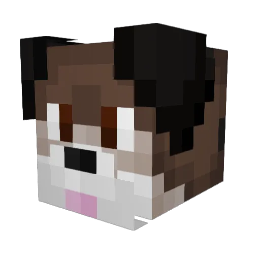 swamp_wallaby Minecraft avatar head, 3D render