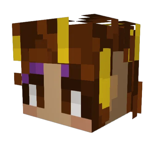 swampcryptid Minecraft avatar head, 3D render