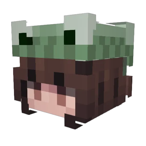 swampfroggie Minecraft avatar head, 3D render