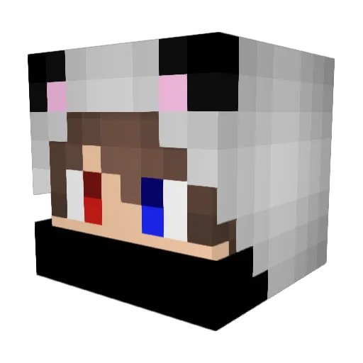 swampy2005 Minecraft avatar head, 3D render