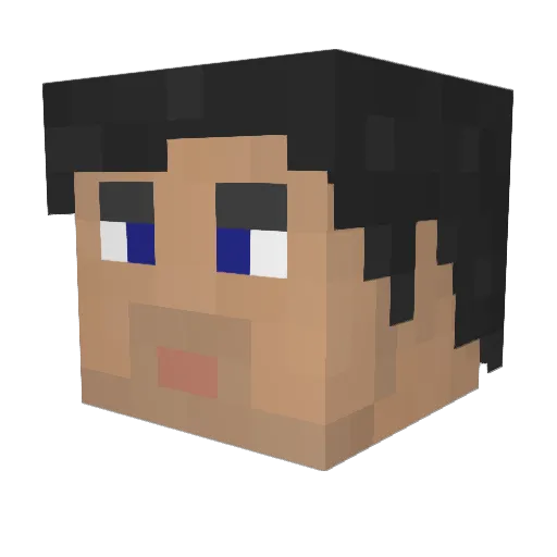 swanndog94 Minecraft avatar head, 3D render