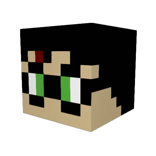 swanseasea Minecraft avatar head, 3D render