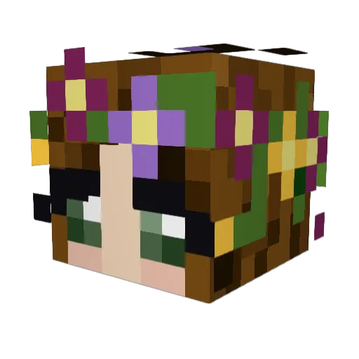 swaphka Minecraft avatar head, 3D render
