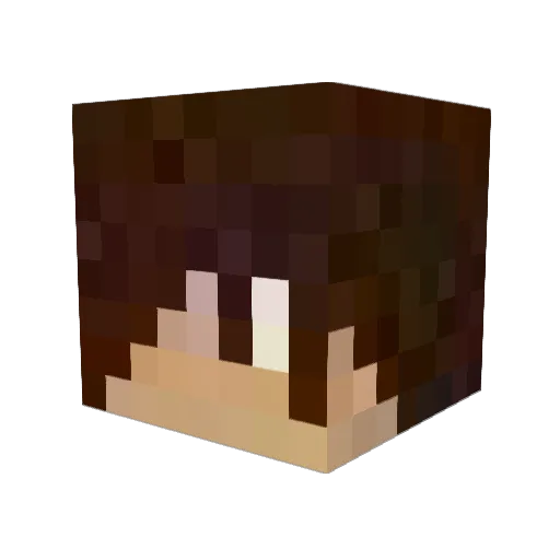 sward105 Minecraft avatar head, 3D render