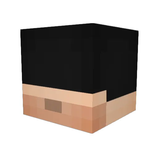 swartzbrandon Minecraft avatar head, 3D render