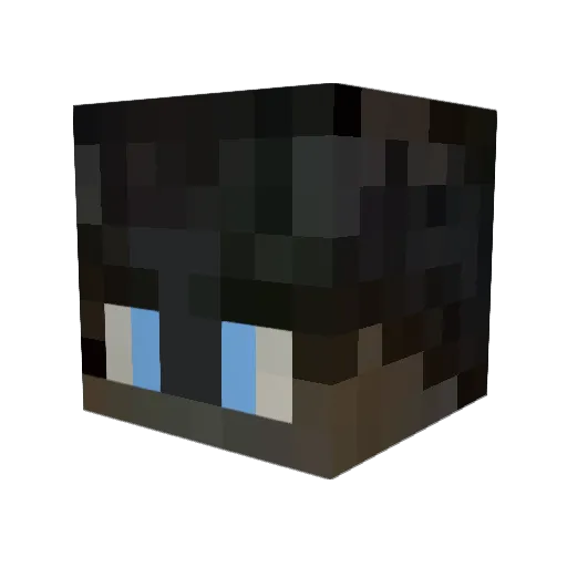 swaywentout Minecraft avatar head, 3D render