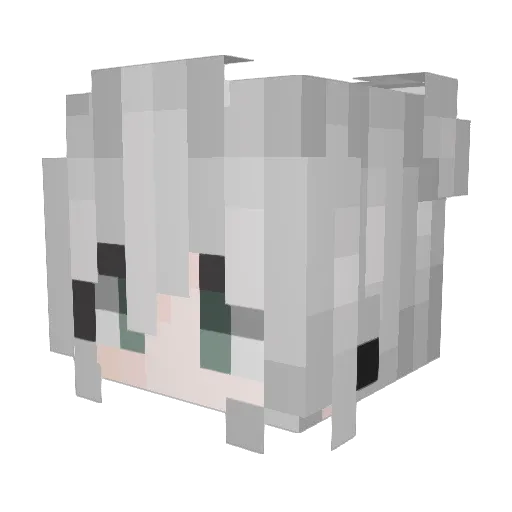 swdragon12 Minecraft avatar head, 3D render