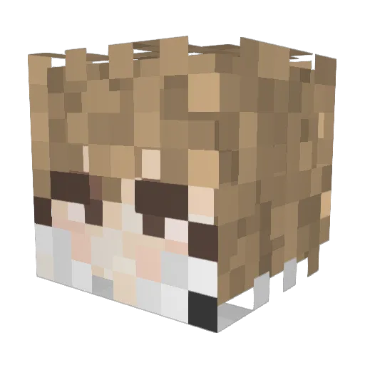 swdzzly Minecraft avatar head, 3D render