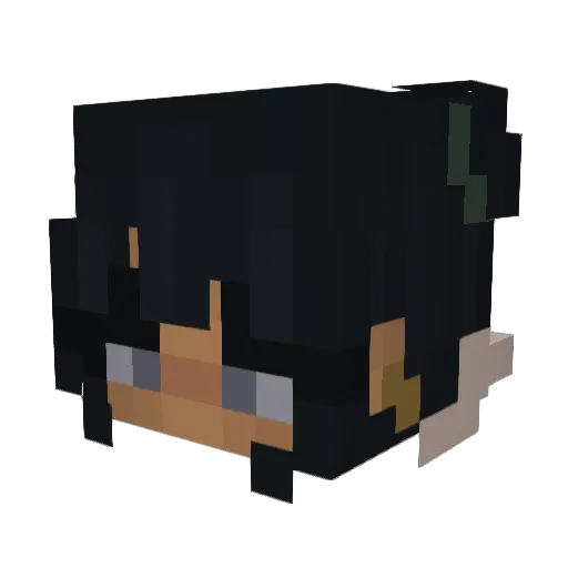 swearbearr Minecraft avatar head, 3D render
