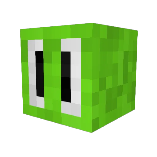 sweatacapuche Minecraft avatar head, 3D render