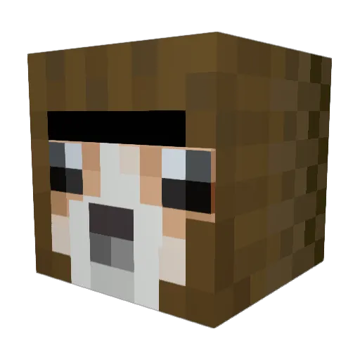 sweatybung Minecraft avatar head, 3D render