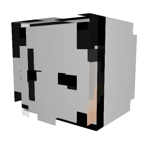 sweatykevin Minecraft avatar head, 3D render