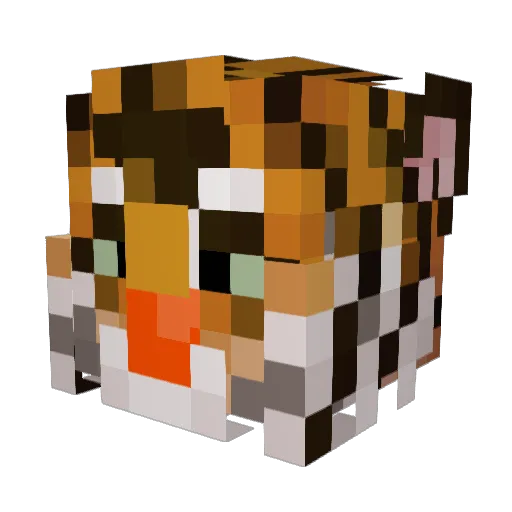 sweatysqaghetti Minecraft avatar head, 3D render