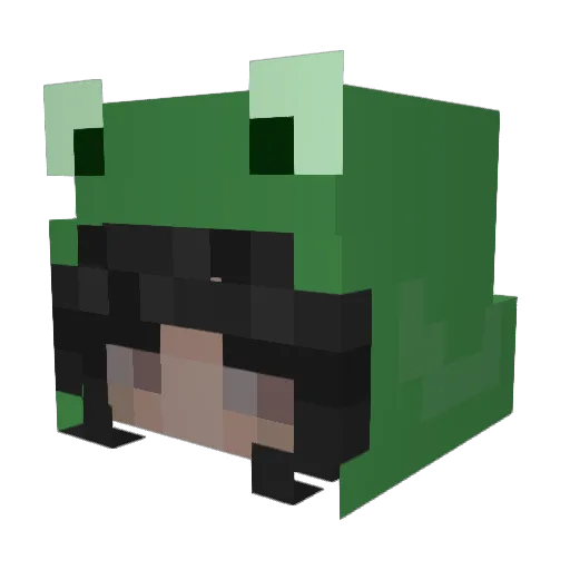 sweet_bbyrae Minecraft avatar head, 3D render