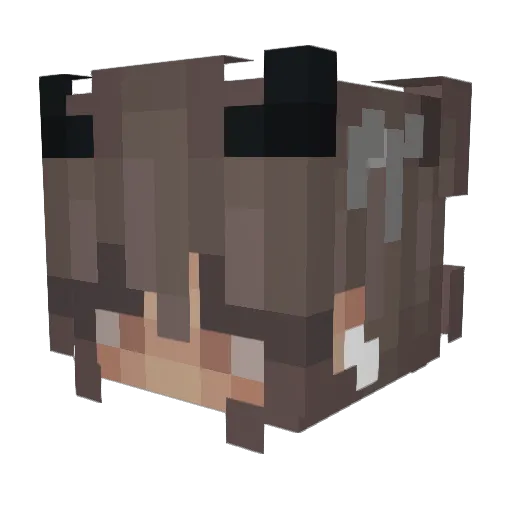 sweetbunnxx Minecraft avatar head, 3D render