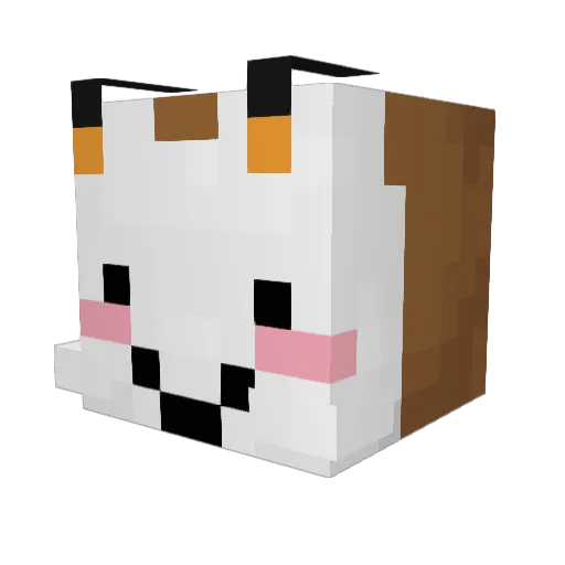 sweetcoron Minecraft avatar head, 3D render