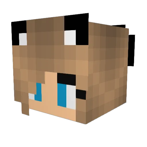 sweetcrafter17 Minecraft avatar head, 3D render