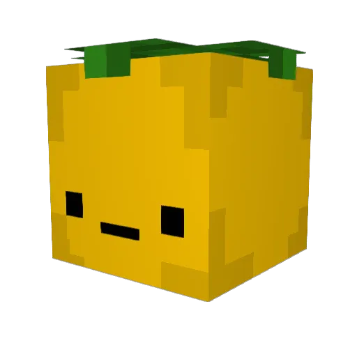 sweetdaddyfroge Minecraft avatar head, 3D render