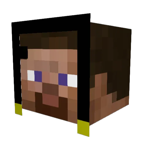 sweetdestroyer1 Minecraft avatar head, 3D render