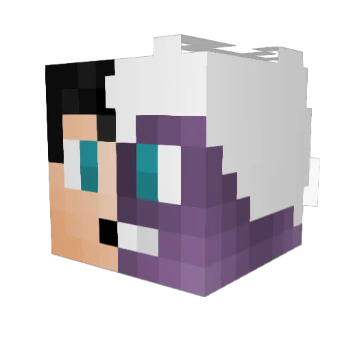 sweetgus Minecraft avatar head, 3D render