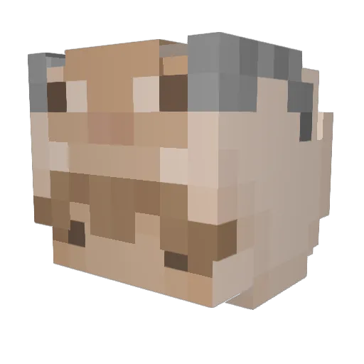sweethellcat Minecraft avatar head, 3D render