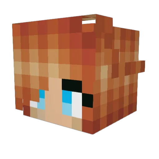 sweetiepie1122 Minecraft avatar head, 3D render