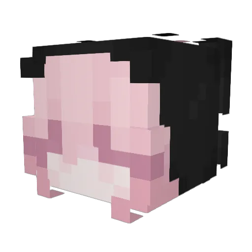 sweetiepiie Minecraft avatar head, 3D render