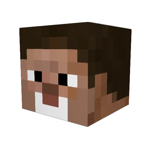 sweetnublets Minecraft avatar head, 3D render
