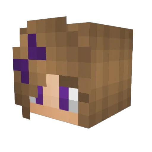 sweetprincesses Minecraft avatar head, 3D render