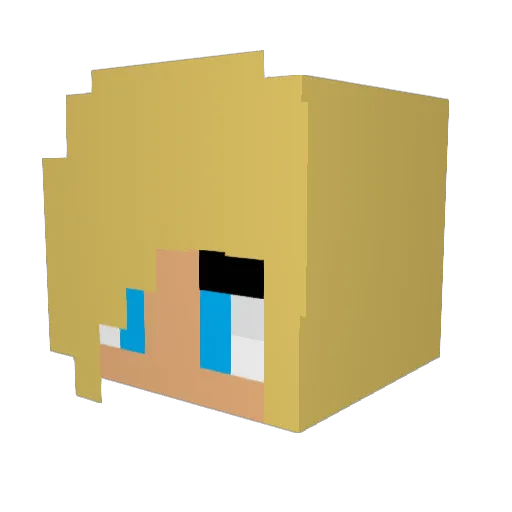 sweetshot47 Minecraft avatar head, 3D render