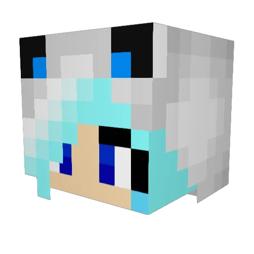 sweetsillyfox Minecraft avatar head, 3D render