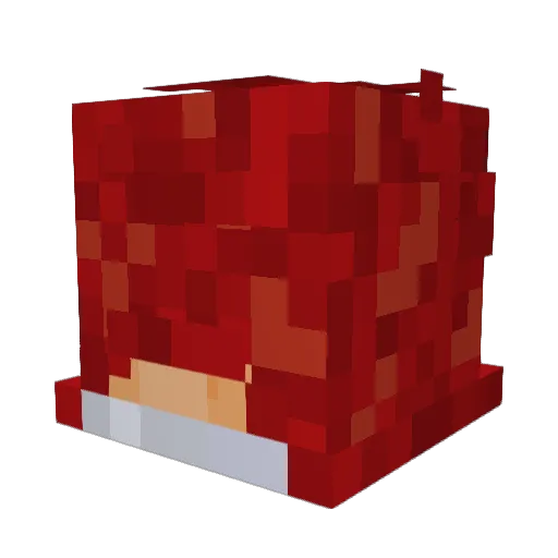 sweettooth273 Minecraft avatar head, 3D render