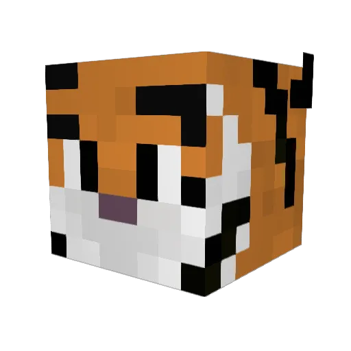 sweety0204 Minecraft avatar head, 3D render