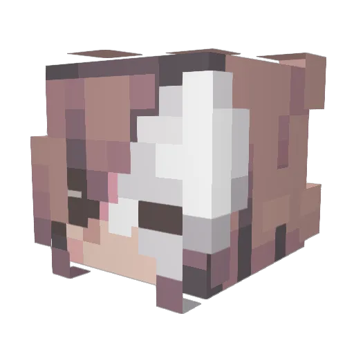 sweetzxr Minecraft avatar head, 3D render