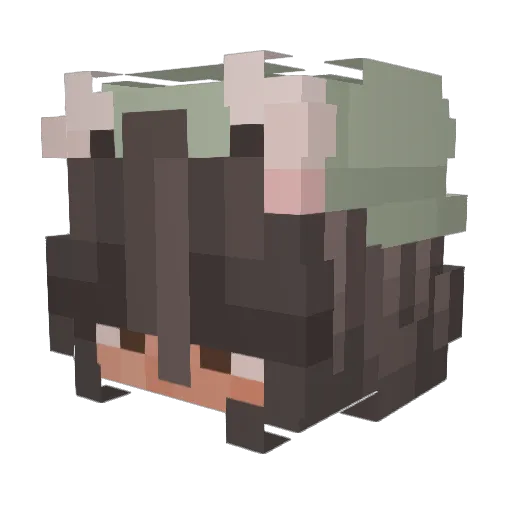 swehaha Minecraft avatar head, 3D render