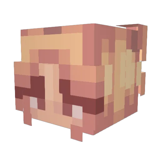 swellsy_ Minecraft avatar head, 3D render