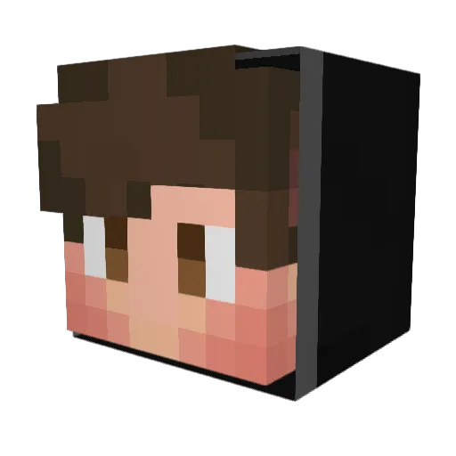 swelmo Minecraft avatar head, 3D render