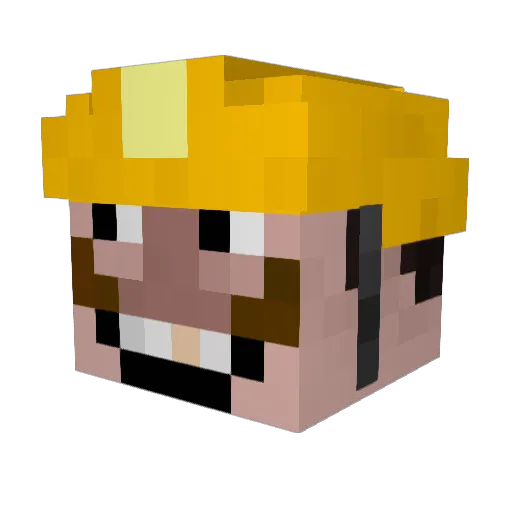 sweman123 Minecraft avatar head, 3D render