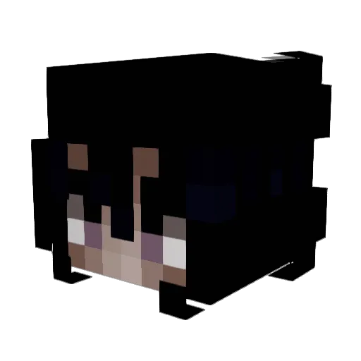 swhzz Minecraft avatar head, 3D render