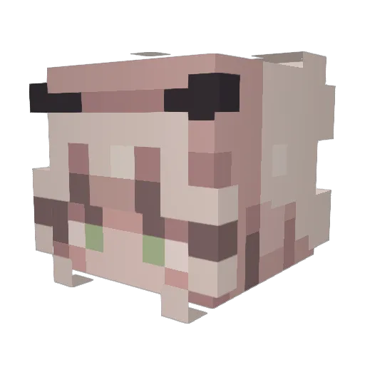 swickman97 Minecraft avatar head, 3D render