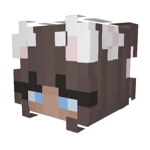 swiderek88 Minecraft avatar head, 3D render