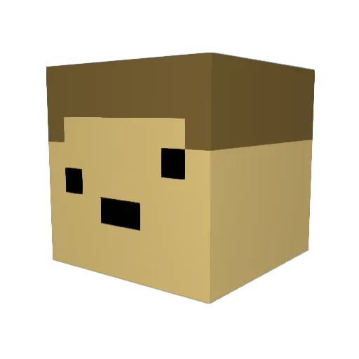 swiees Minecraft avatar head, 3D render