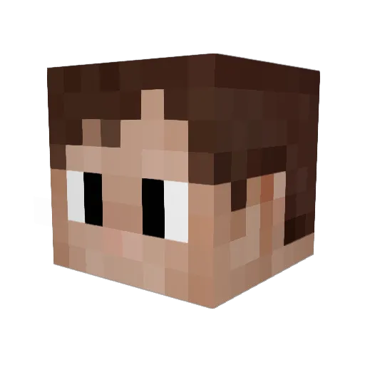 swift502 Minecraft avatar head, 3D render