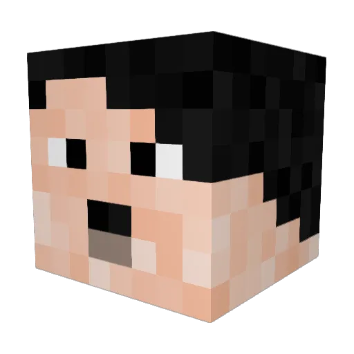 swiftie41ife Minecraft avatar head, 3D render