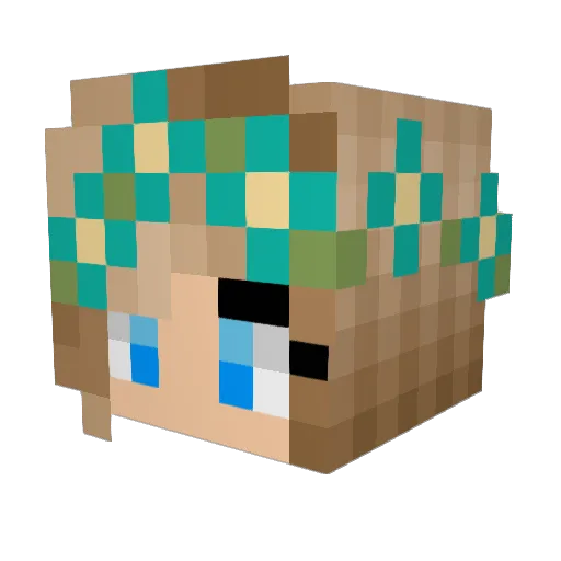 swiftie4life Minecraft avatar head, 3D render