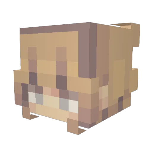 swiftmidnights Minecraft avatar head, 3D render