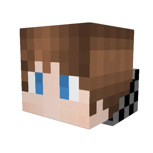 swiftslickback Minecraft avatar head, 3D render