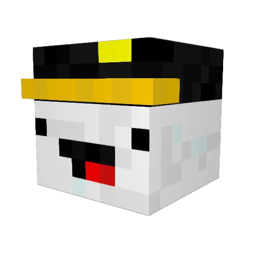 swiggetyswooner1 Minecraft avatar head, 3D render