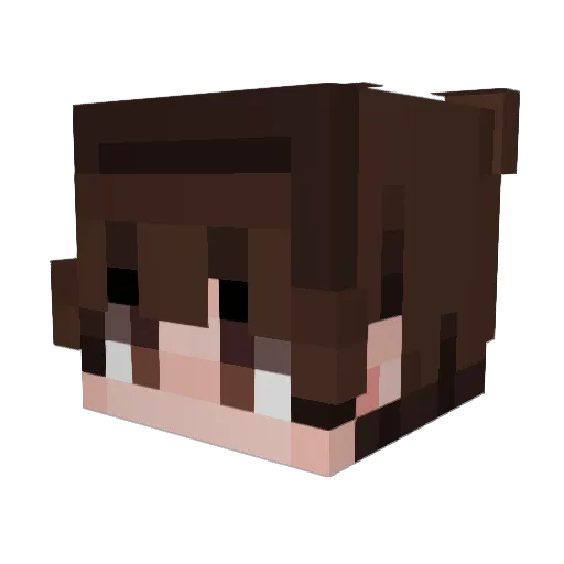 swigle Minecraft avatar head, 3D render